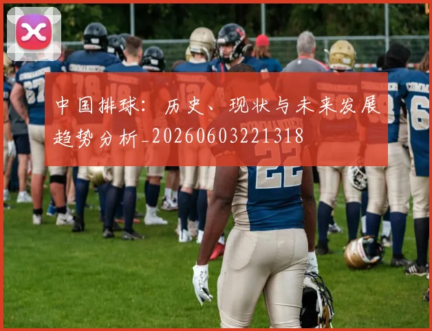 中国排球:历史、现状与未来发展趋势分析_20260603221318