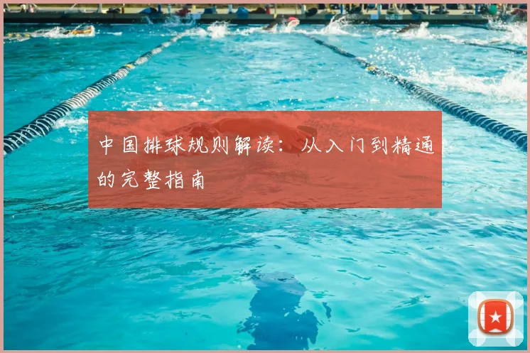 中国排球规则解读:从入门到精通的完整指南
