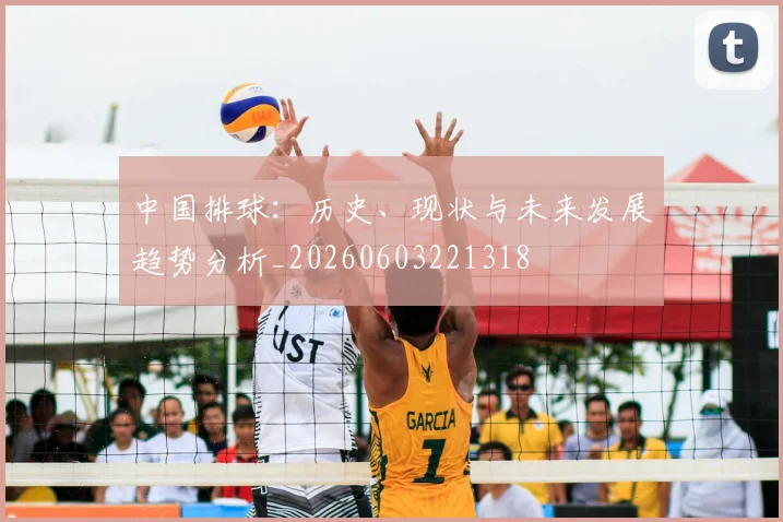 中国排球:历史、现状与未来发展趋势分析_20260603221318