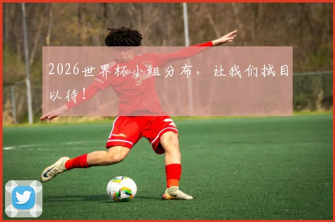 2026世界杯小组分布,让我们拭目以待!